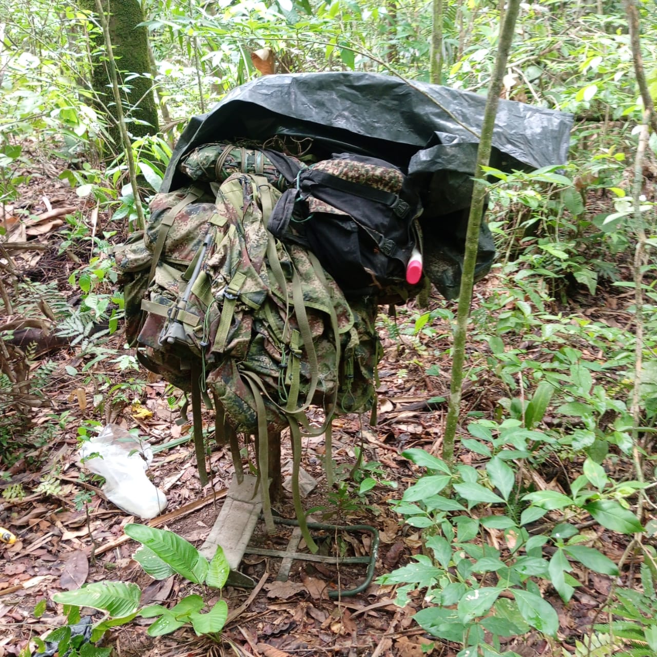 Ejército Nacional de Colombia frustra secuestros y neutraliza acciones terroristas en Arauca